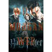 Harry Potter 11